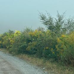 d r e a m s t a t e. Передняя обложка. Нажмите, чтобы увеличить.