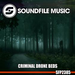 Criminal Drone Beds. Передняя обложка. Нажмите, чтобы увеличить.