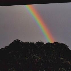 For her. Передняя обложка. Нажмите, чтобы увеличить.