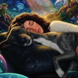 Variations on a Theme from 