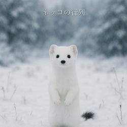 Cat Parade - Single. Передняя обложка. Нажмите, чтобы увеличить.