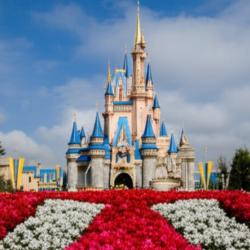 Fanfare of Dreams - Single. Передняя обложка. Нажмите, чтобы увеличить.