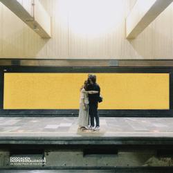 DISOCIACIÓN & DESPERSONALIZACIÓN: Un Soundtrack de Escapismo - EP. Передняя обложка. Нажмите, чтобы увеличить.