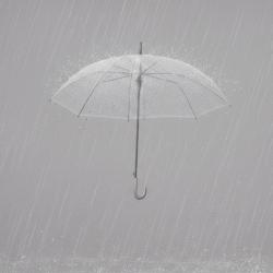 Dontenseimei feat. KASANE TETO - Single. Передняя обложка. Нажмите, чтобы увеличить.