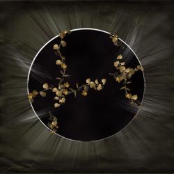 Heart of the Mountain Original Game Soundtrack. Передняя обложка. Нажмите, чтобы увеличить.