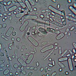 Total Fit Academia - V5 - Single. Передняя обложка. Нажмите, чтобы увеличить. Total Fit Academia - V5 - Single. Передняя обложка. Нажмите, чтобы увеличить.