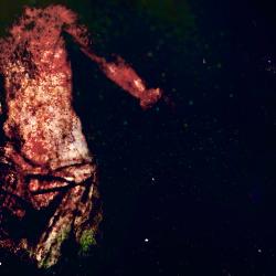 Tu Enigmas - EP. Передняя обложка. Нажмите, чтобы увеличить. Tu Enigmas - EP. Передняя обложка. Нажмите, чтобы увеличить.