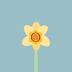 Daffodil - Single. Передняя обложка. Нажмите, чтобы увеличить.