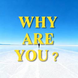 Why Are You? - Single. Передняя обложка. Нажмите, чтобы увеличить.