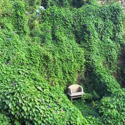 Father's Son Original Theatrical Soundtrack - EP. Передняя обложка. Нажмите, чтобы увеличить.