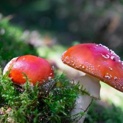 Total Fit Academia - V3 - Single. Передняя обложка. Нажмите, чтобы увеличить. Total Fit Academia - V3 - Single. Передняя обложка. Нажмите, чтобы увеличить.