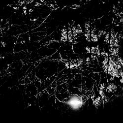 Surge - Single. Передняя обложка. Нажмите, чтобы увеличить.