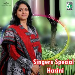 Singer Special Harini. Передняя обложка. Нажмите, чтобы увеличить.