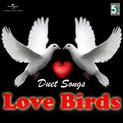 Love Birds. Передняя обложка. Нажмите, чтобы увеличить.