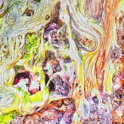 A Villager's Tale - Single. Передняя обложка. Нажмите, чтобы увеличить. A Villager's Tale - Single. Передняя обложка. Нажмите, чтобы увеличить.