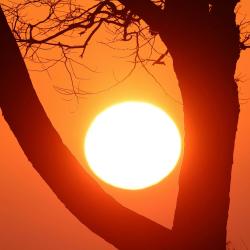 Sítio da Duquinha Aimorés/MG - Single. Передняя обложка. Нажмите, чтобы увеличить. Sítio da Duquinha Aimorés/MG - Single. Передняя обложка. Нажмите, чтобы увеличить.