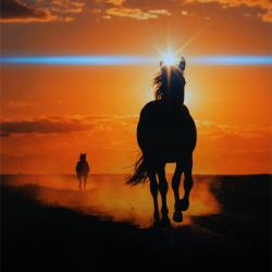 Türk Men - Single. Передняя обложка. Нажмите, чтобы увеличить.