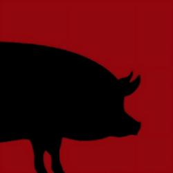 Arlo Feeney's Animal Farm. Передняя обложка. Нажмите, чтобы увеличить. Arlo Feeney's Animal Farm. Передняя обложка. Нажмите, чтобы увеличить.