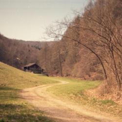 La danza degli agnelli - EP. Передняя обложка. Нажмите, чтобы увеличить. La danza degli agnelli - EP. Передняя обложка. Нажмите, чтобы увеличить.