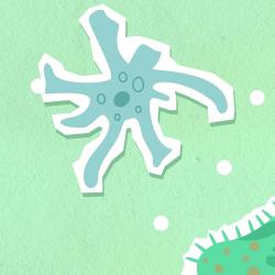 Total Fit Academia - V4 - Single. Передняя обложка. Нажмите, чтобы увеличить. Total Fit Academia - V4 - Single. Передняя обложка. Нажмите, чтобы увеличить.