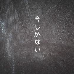 Now or Never feat. KASANE TETO - Single. Передняя обложка. Нажмите, чтобы увеличить.