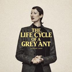 How Long - Single. Передняя обложка. Нажмите, чтобы увеличить.