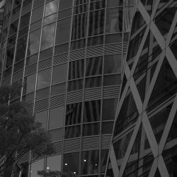 What If feat. RIME - Single. Передняя обложка. Нажмите, чтобы увеличить.