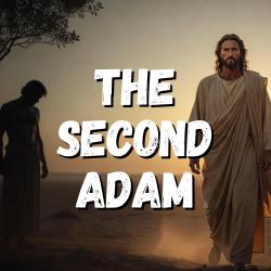 The Second Adam - Single. Передняя обложка. Нажмите, чтобы увеличить.