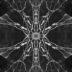 Cursed The Curse Original Credits - Single. Передняя обложка. Нажмите, чтобы увеличить.