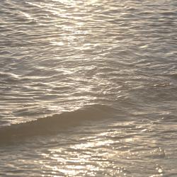 Issued Certificate feat. RIME - Single. Передняя обложка. Нажмите, чтобы увеличить.