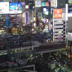 Miss, Failure, Error feat. RIME - Single. Передняя обложка. Нажмите, чтобы увеличить.