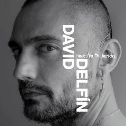 Davidelfin, Muestra tu Herida BSO. Передняя обложка. Нажмите, чтобы увеличить.