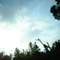 Metamorphose feat. RIME - Single. Передняя обложка. Нажмите, чтобы увеличить.