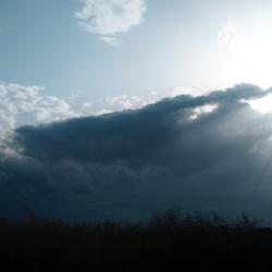 Time Capsule feat. RIME - Single. Передняя обложка. Нажмите, чтобы увеличить.