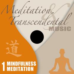 Meditation & Transcendental Music - Mindfulness Meditation. Передняя обложка. Нажмите, чтобы увеличить.
