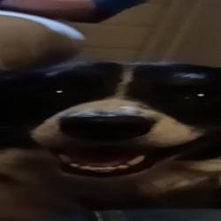 Chip feat. Chip - Single. Передняя обложка. Нажмите, чтобы увеличить.