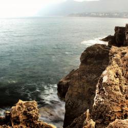 DALIT - Single. Передняя обложка. Нажмите, чтобы увеличить.