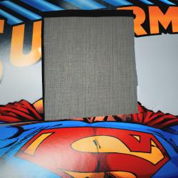 I Will See You, Starling Original Motion Picture Soundtrack. Передняя обложка. Нажмите, чтобы увеличить.