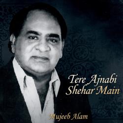 Tere Ajnabi Shehar Main. Передняя обложка. Нажмите, чтобы увеличить.