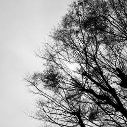 Break in the Clouds feat. HATSUNE MIKU - Single. Передняя обложка. Нажмите, чтобы увеличить.