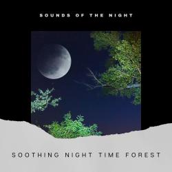 Soothing Night Time Forest Sounds. Передняя обложка. Нажмите, чтобы увеличить.