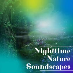 Nighttime Nature Soundscapes. Передняя обложка. Нажмите, чтобы увеличить.