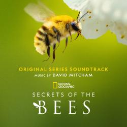 Secrets of the Bees Original Series Soundtrack. Передняя обложка. Нажмите, чтобы увеличить.