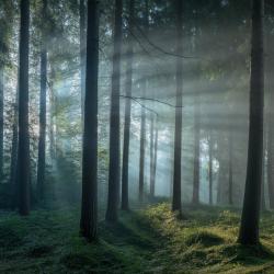 DOĞA SESLERİ - NATURE SOUNDS1. Передняя обложка. Нажмите, чтобы увеличить. DOĞA SESLERİ - NATURE SOUNDS1. Передняя обложка. Нажмите, чтобы увеличить.