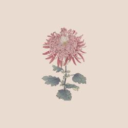 Like an Idiot - Single. Передняя обложка. Нажмите, чтобы увеличить.