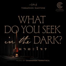 What Do You Seek In The Dark? Original Soundtrack - EP. Передняя обложка. Нажмите, чтобы увеличить.