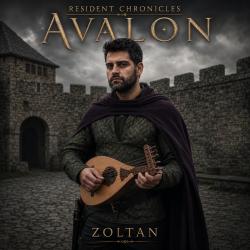 Resident chronicles Avalon zoltan theme - EP. Передняя обложка. Нажмите, чтобы увеличить.