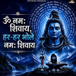 Om Namah Shivay Har Har Bole Namah Shivay Shiv Dhun - EP. Передняя обложка. Нажмите, чтобы увеличить.