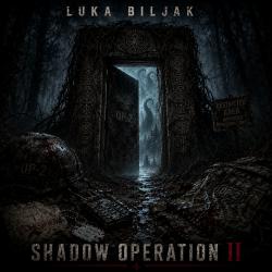 Shadow Operation II. Передняя обложка. Нажмите, чтобы увеличить.