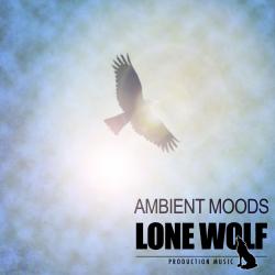 Ambient Moods. Передняя обложка. Нажмите, чтобы увеличить. Ambient Moods. Передняя обложка. Нажмите, чтобы увеличить.